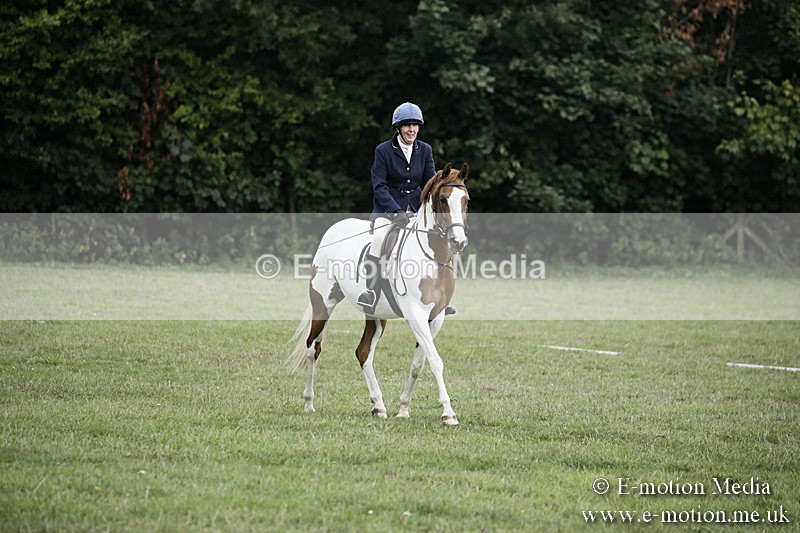 BVR090918 2 - BVRC Dressage and Show Jumping 09/09/18