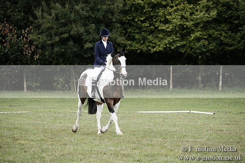 BVR080918 62 - BVRC Novice Dressage & CR 08/09/18