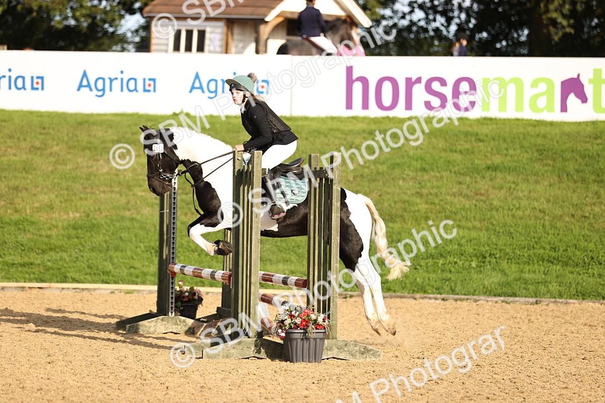 SBM_53007 - J10 - Junior Pony 75cm Championship