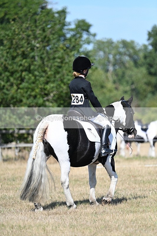 WJ7_9410 - Time 10:08 to 10:13