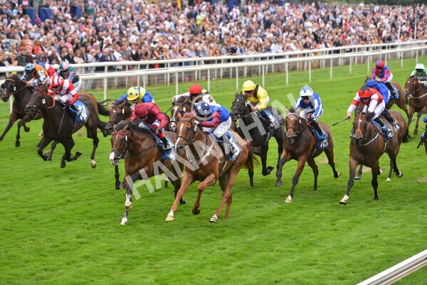 yr19082021r3-43 - Race 3 3.00pm Clipper Logistics Stakes
