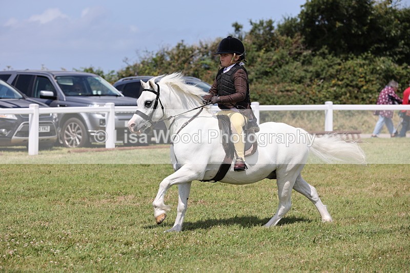 JPP_1839 - Class 18: Tiny Tots Working Hunter Pony