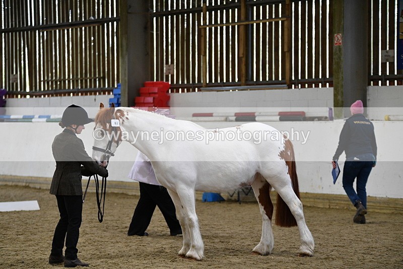 WJ5_5058 - Class 7 In hand coloured / odd coloured