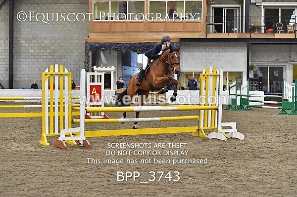 BPP_3743 - FRI CLASS 21 BR NOVICE/90CM