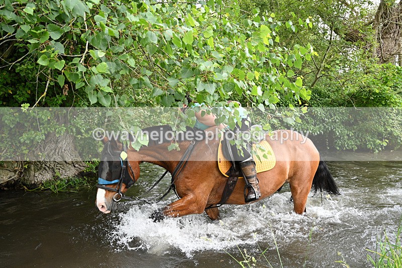 WJ7_2482 - Camera 2 Water Crossing