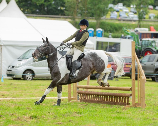Dunblane show-183 - Dunblane and Doune Show Ring 1