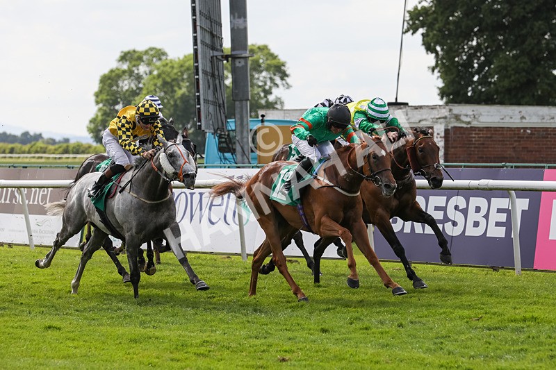 240624-Race 6-Profiteer-0427 - Race 6