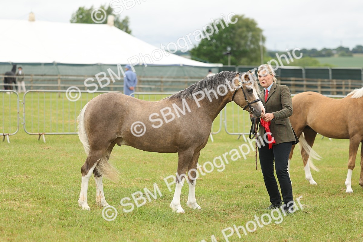 SBM_02184 - Class 50-57 - M&M Welsh Pony In Hand