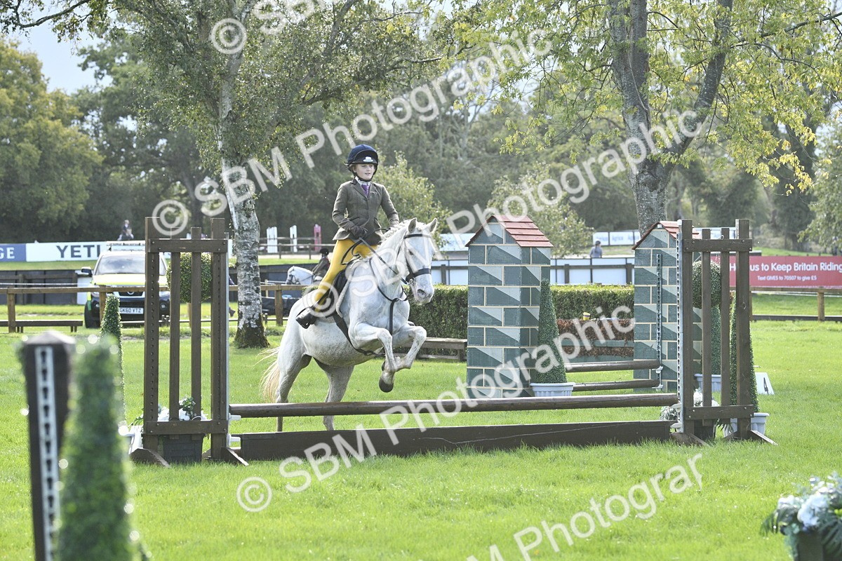 SBM_37209 - S31 - Novice & Newcomer Working Hunter Pony