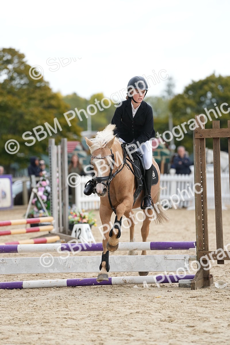 SBM_19640 - J49 - Open 50cm