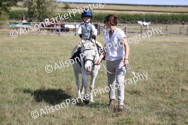 20260906-2289 - Class 16 - Family Pony