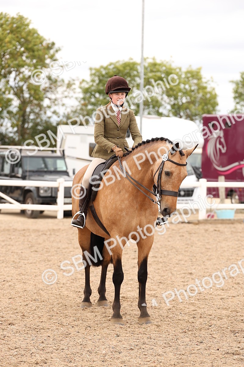 SBM_17259 - Class 213 - Ridden Hunter - Large