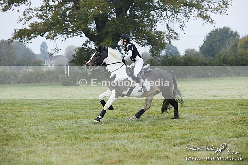 WWHT 181020 WWHT 181020 005 - WWEC Novice Restricted (0.80m) 18/10/20