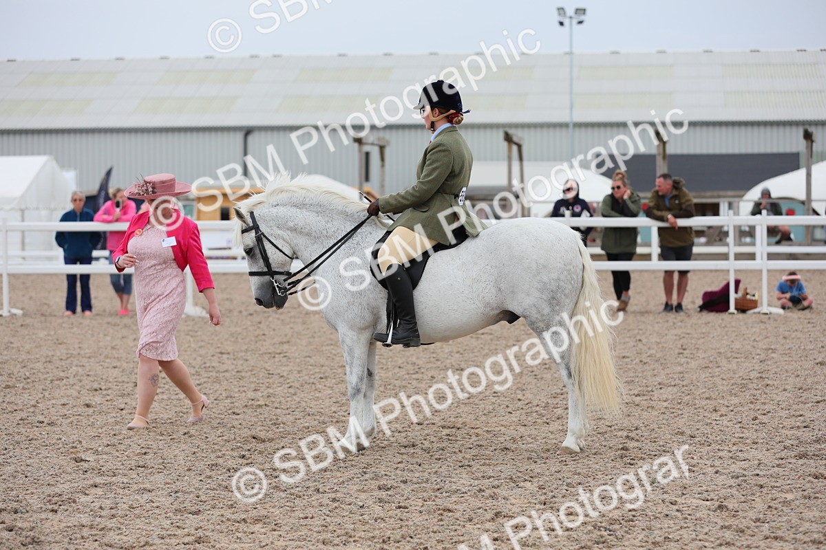 SBM_18070 - Class 316 Best Pony/Rider Combination