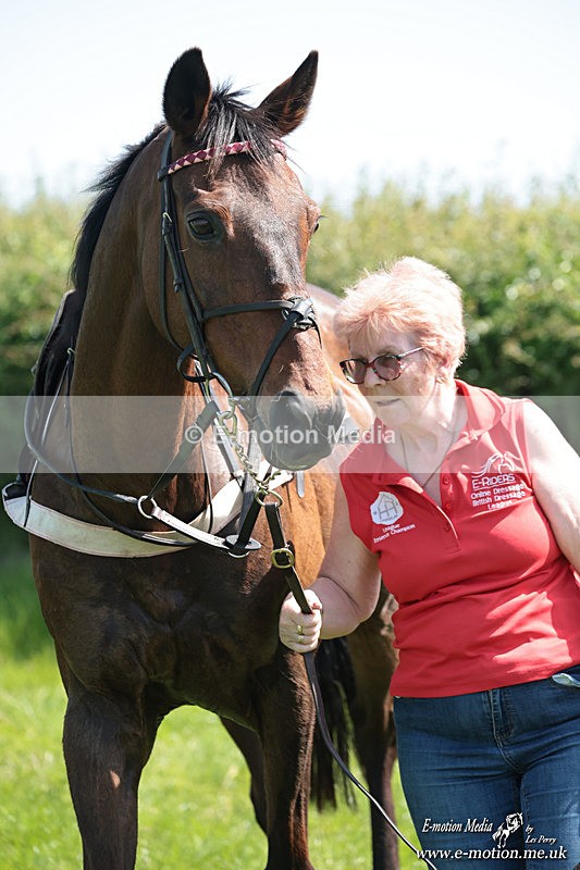PtP 250526 264 - Albrighton & Woodland PtP Chaddesley Corbett 25/05/26