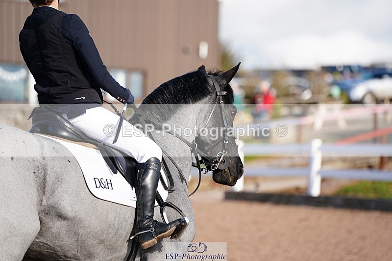 241027A-115544-02635 - SUN Cls 6 Pony Newcomers and 1m Open