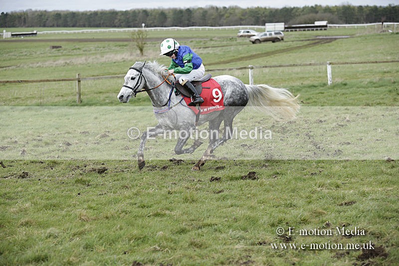 PtP 150320 0773 - New Forest Point-to-Point Larkhill 15/03/20