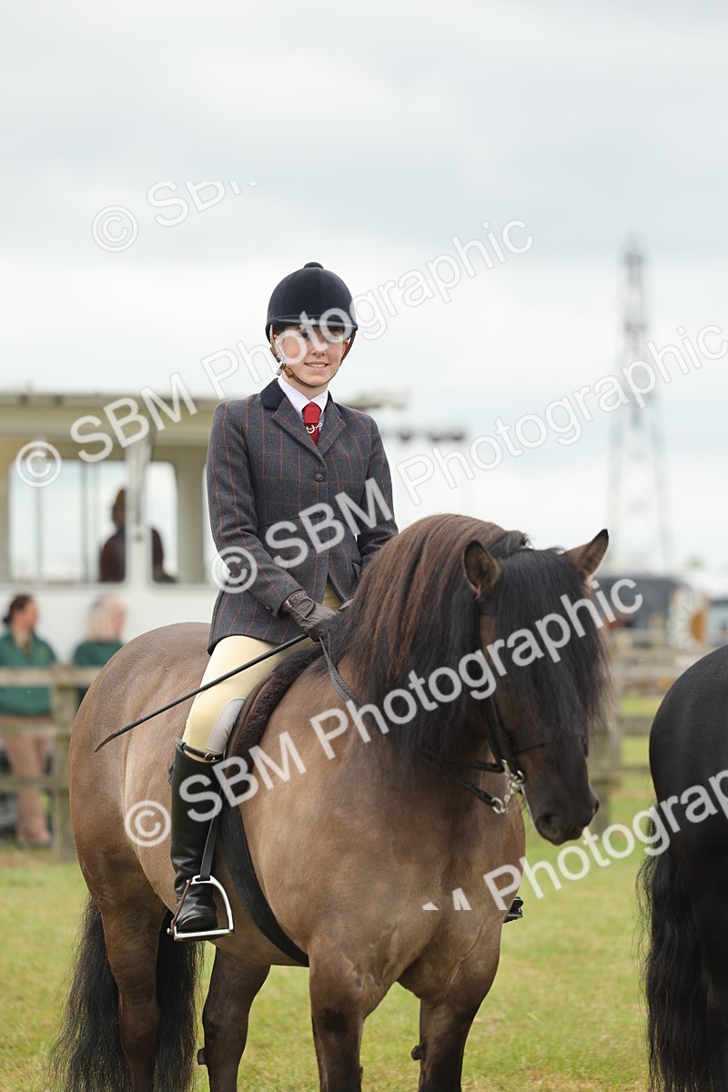 SBM_09013 - Class 78-80 - Ridden M&M Non Welsh Ponies