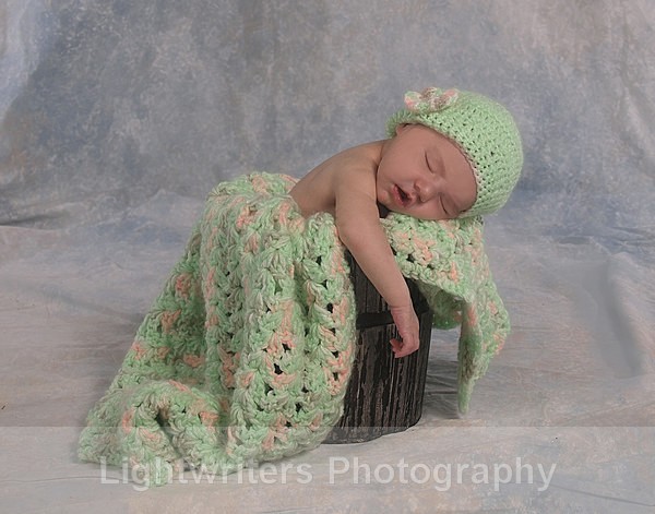 Willow 17 - Willow
