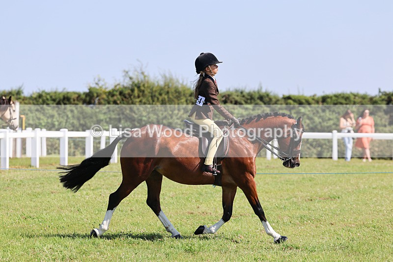IMG_1996 - Class 34: Show Hunter Pony 153cm and under