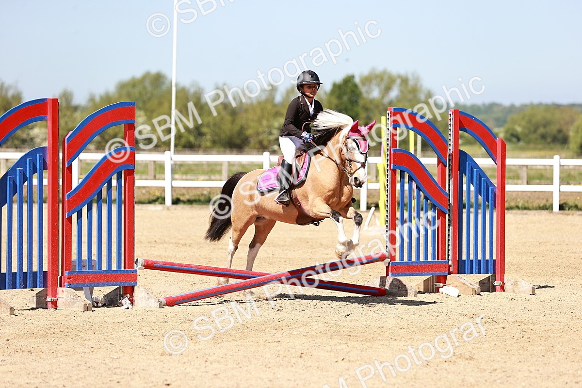 SBM_006995 - Class 2 - 50cm