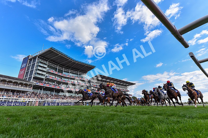 220826-Race 5-Sondad-6177 - Race 5 16.10pm Sky Bet Constantine Handicap