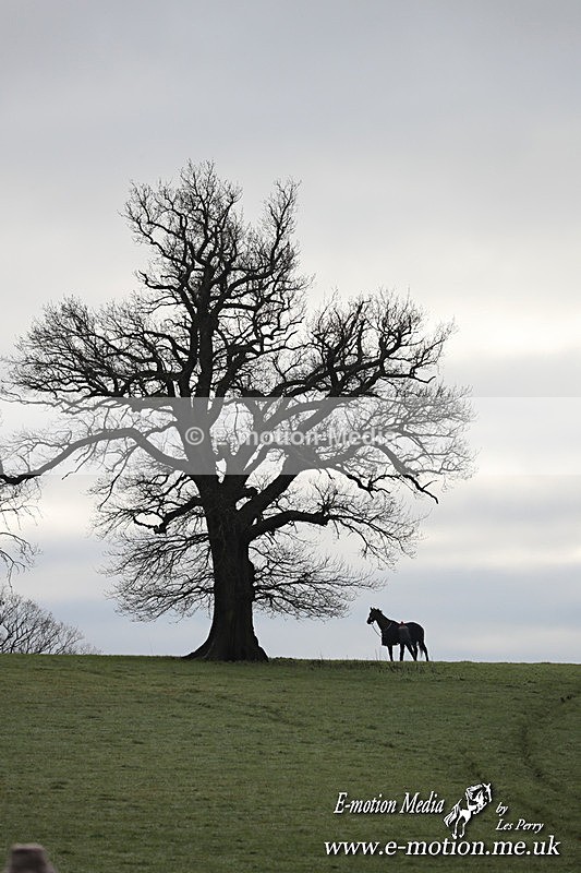 PtP 291224 60 - Harkaway Club PtP Chaddesley Corbett 29/12/24