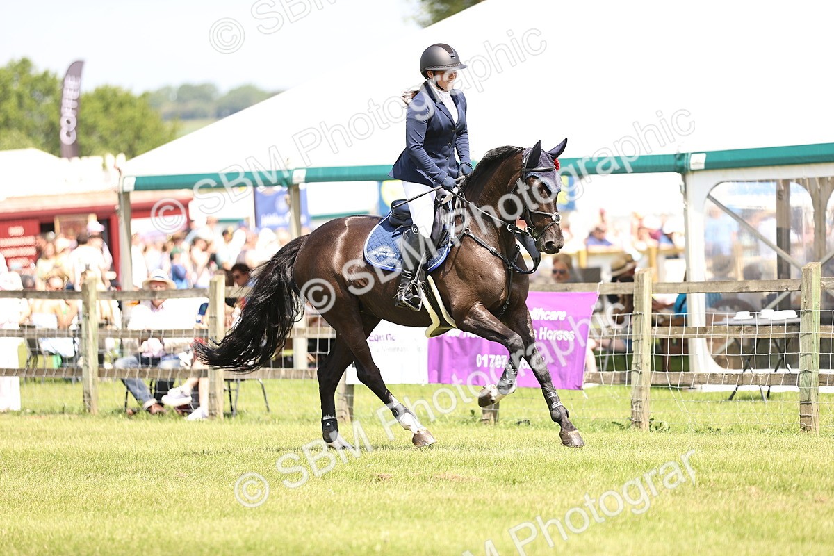 SBM_04092 - Class 201 - British Horse Feedds Speedi Beet HOYS Grade C