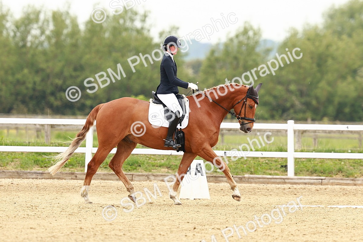 SBM_001230 - Class 6 - Novice 4