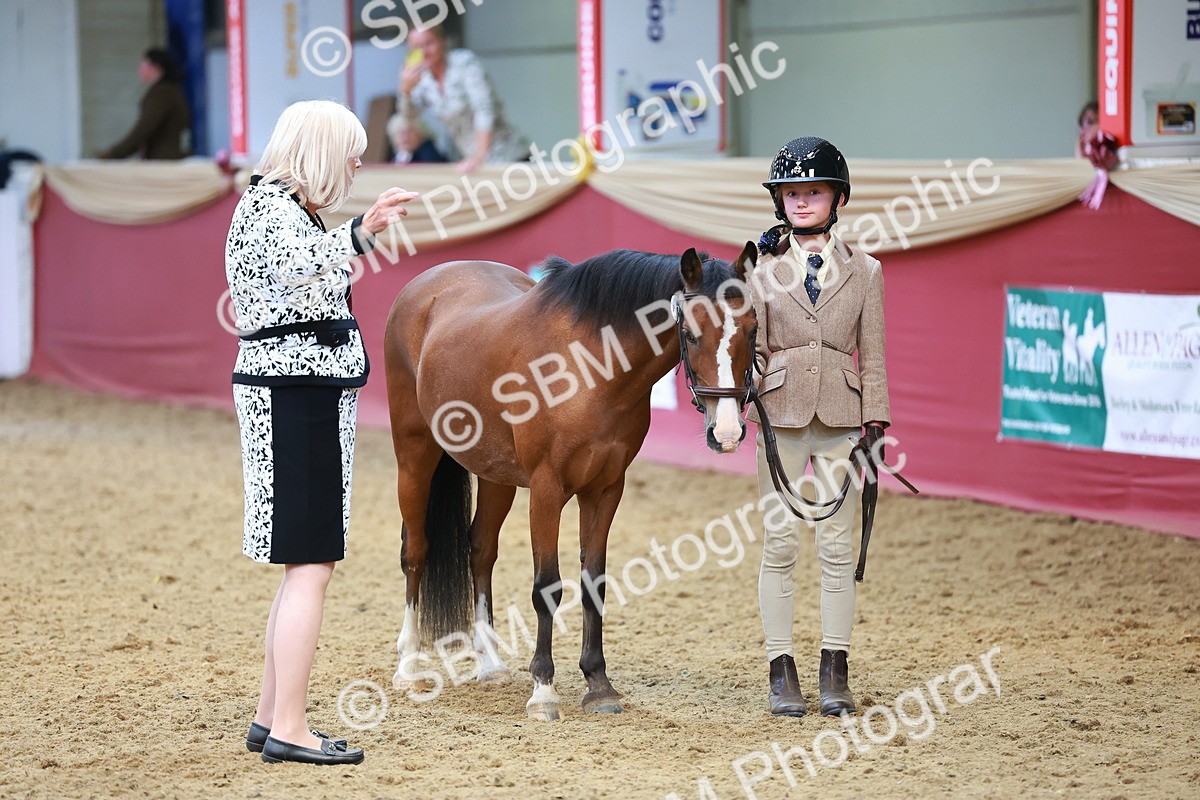 SBM_04249 - Class 9R - IH Pre-Vet