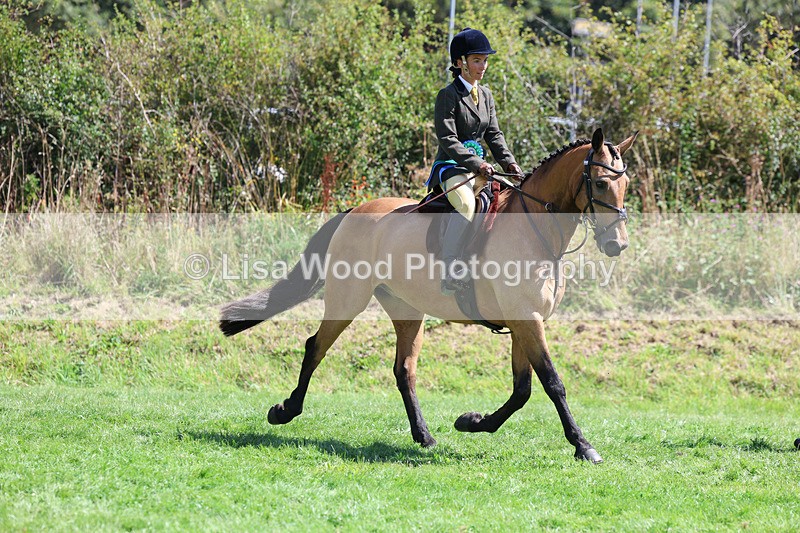 3E7A9186 - Working Hunter Championship