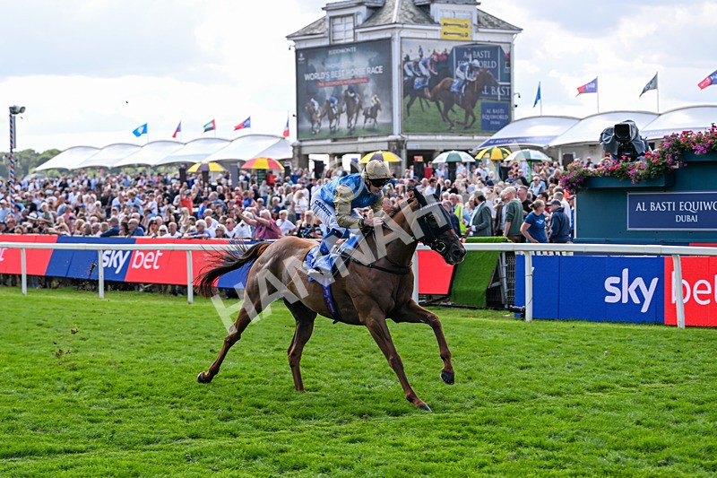 220826-Race 1-Archivist-9250 - Race 1 13.50pm Sky Bet Strensall Stakes