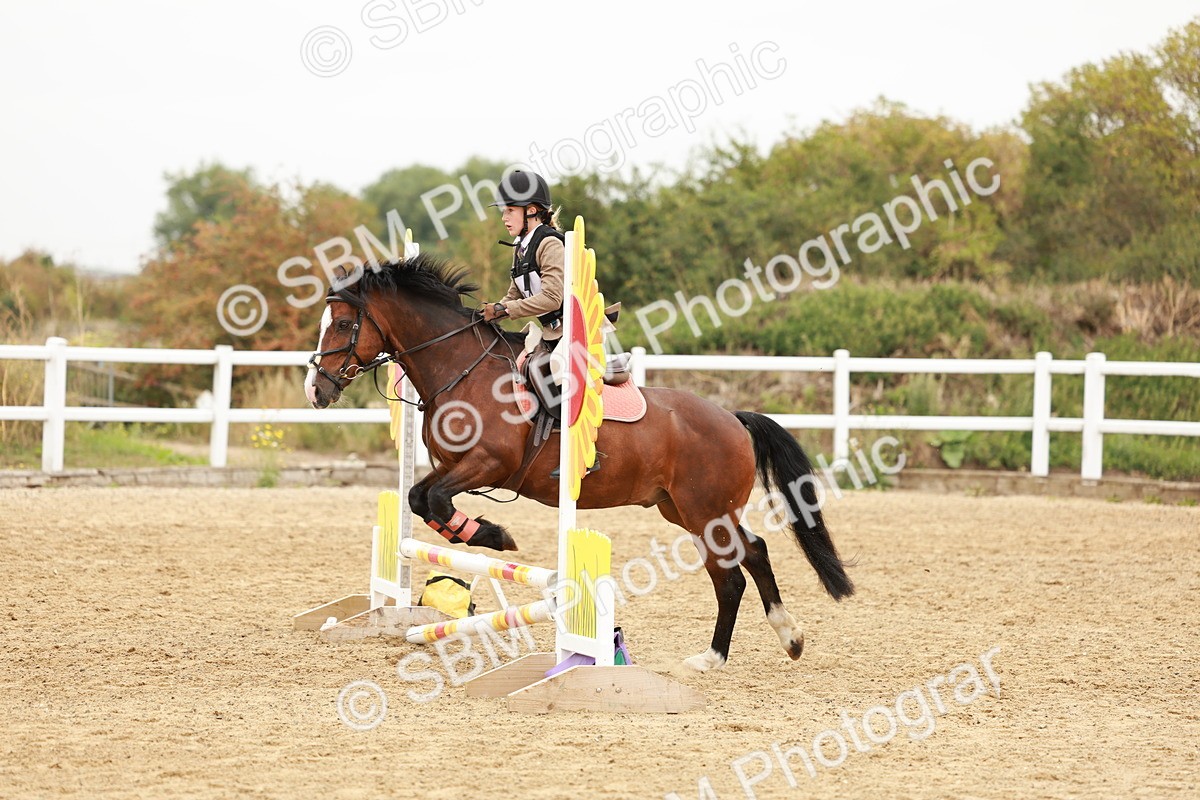 SBM_007298 - Class 2 - 50cm