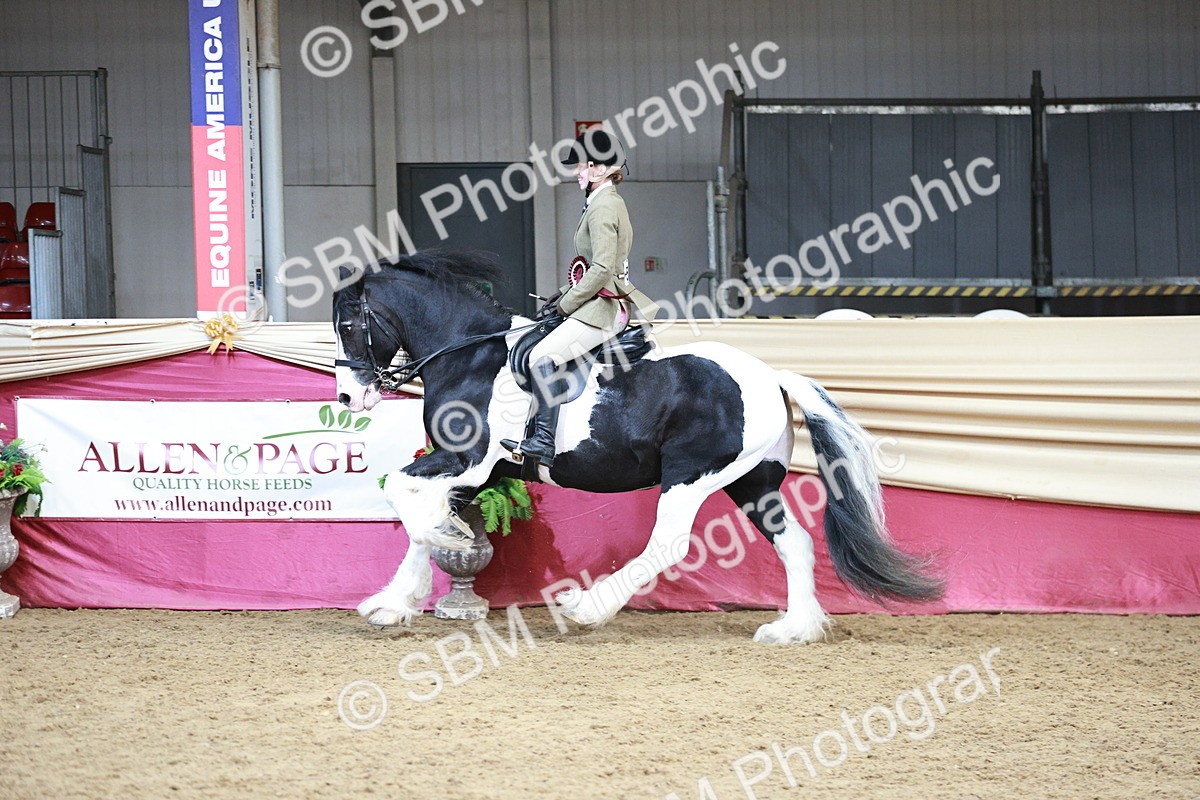 SBM_08667 - Regional Ridden Champ