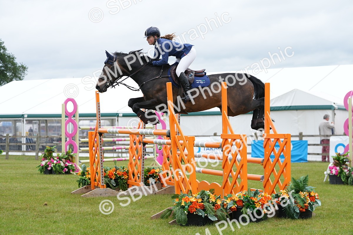 SBM_03046 - Class 201 - British Horse Feeds Speedi Beet Horse of the Year Show Grade  C