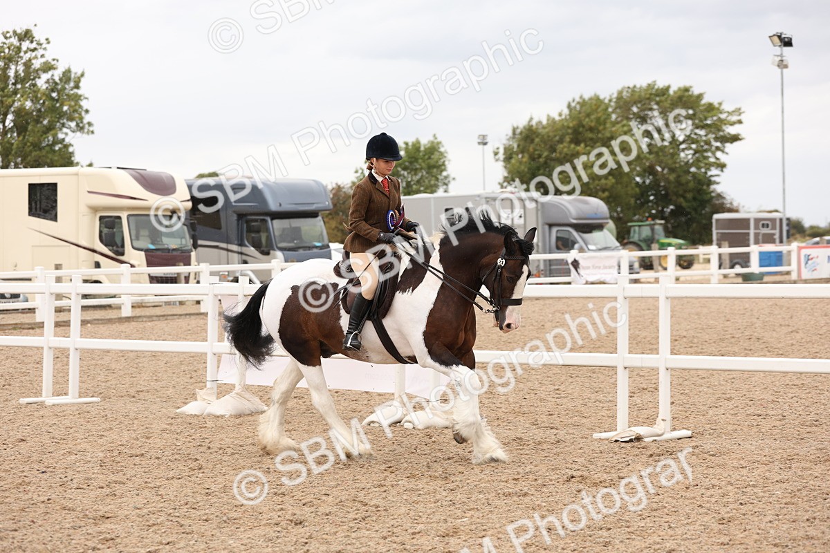 SBM_19750 - Class 216 - Ridden Traditional - Native Cob