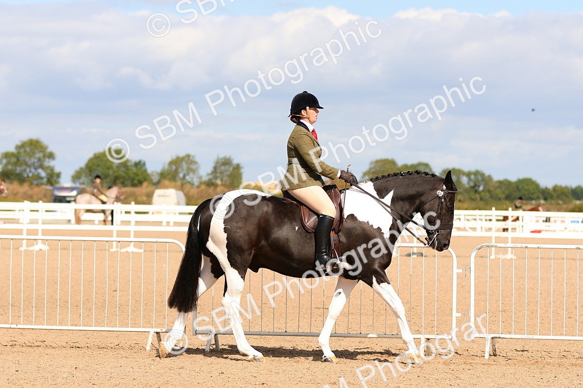 SBM_13453 - Class 212 - Ridden Hunter  - Large
