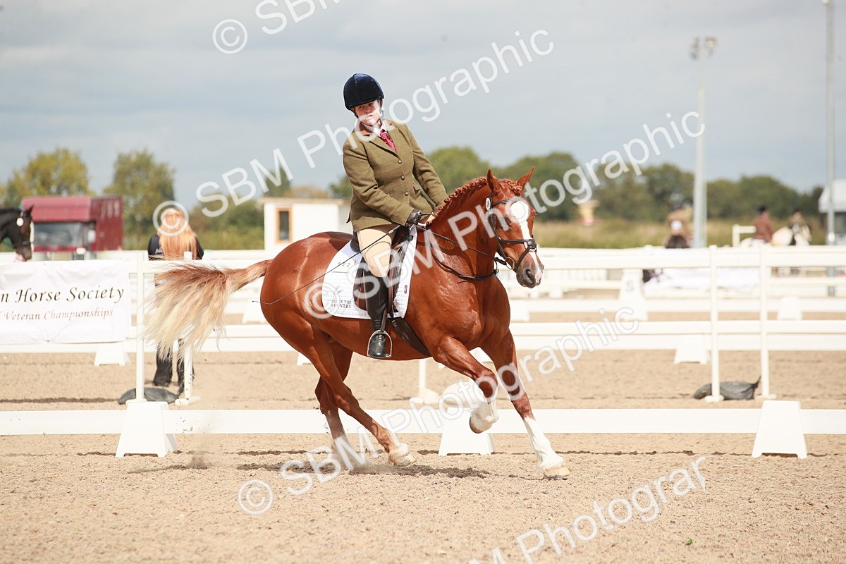 SBM_05858 - Class 32 - Novice 1