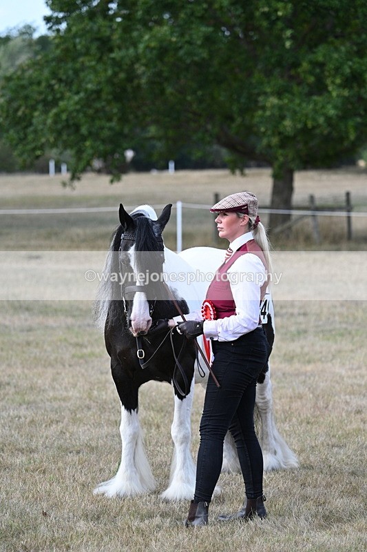 WJ7_8317 - In-hand Championship