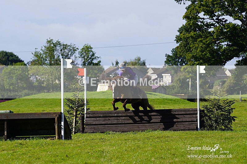  WWHT 031021 1548 - Open Novice (0.80m) 03/10/21