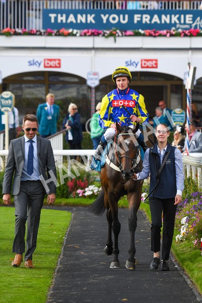 260823-Race 7-Astro King-1095 - Race 7 Sky Bet Finale Handicap at York