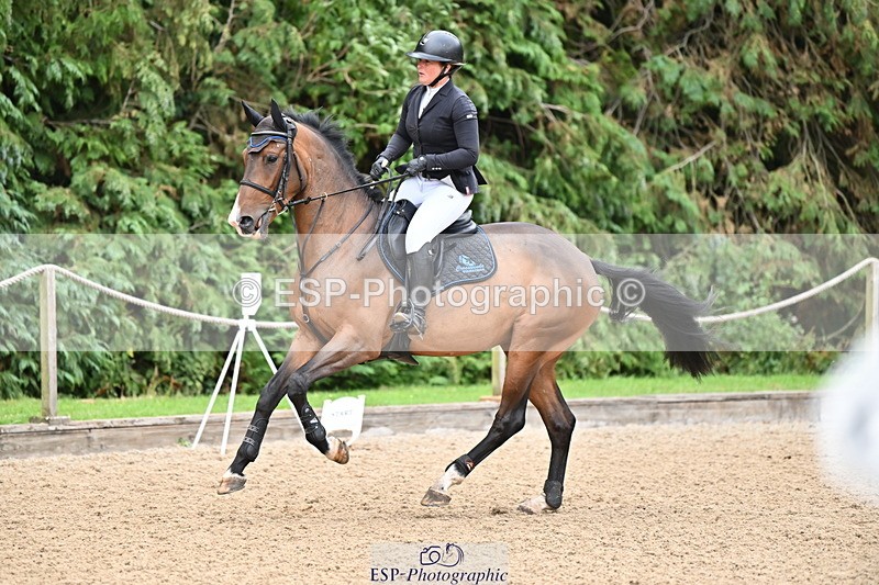 250706A-085204-17517 - Cls 46 4 Year Old Championships