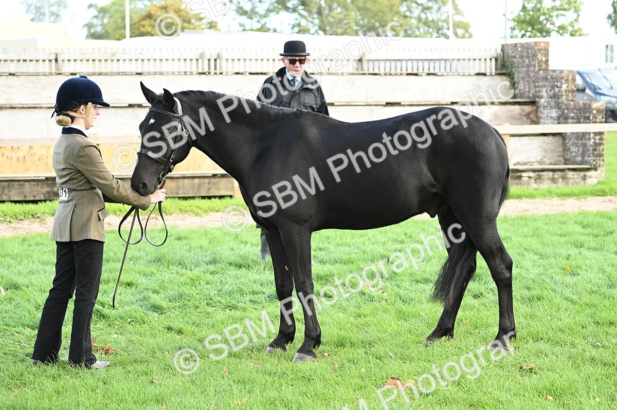 SBM_25001 - S5 - Novice & Newcomer In hand