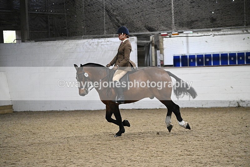 WJ7_4022 - Class 17 Ridden Cob