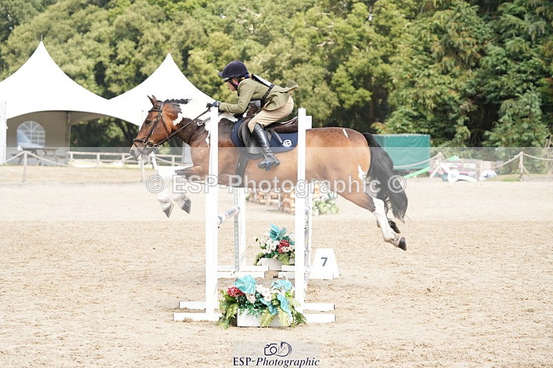 250824A-134433-37651 - 2127-Nancy.Kingman-MIDNIGHT.VIOLET