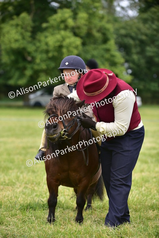 20260614-4247 - Class 17 - Best Mane and Tail