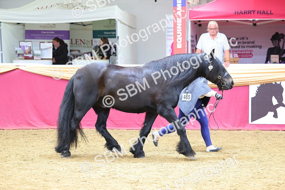 SBM_22664 - Class 903 - Supreme Final - IH Pre Vet