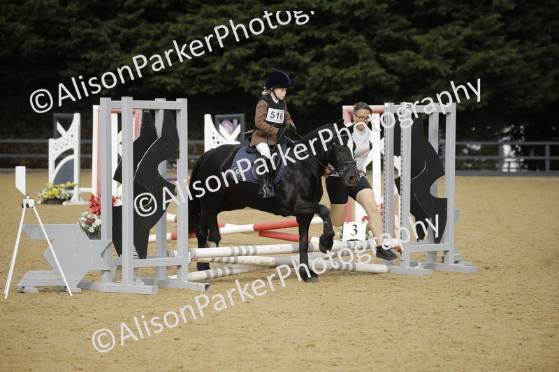 20250622-1341 - 40cm