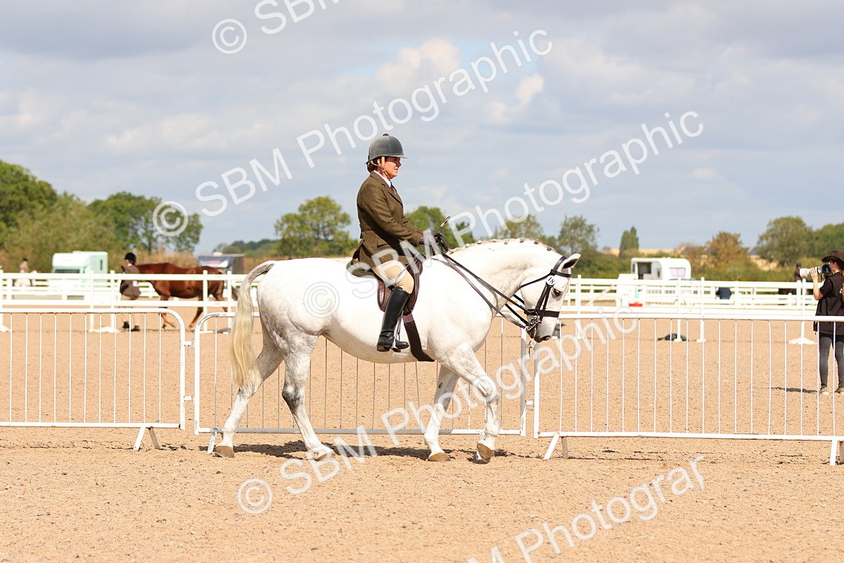 SBM_13165 - Class 211 - Ridden Hunter - Small