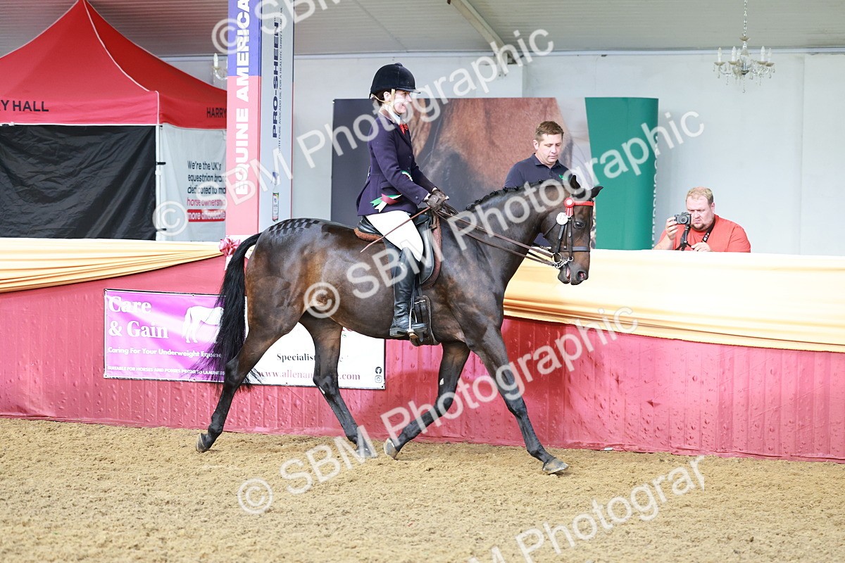 SBM_12020 - Class 102 - Equitation (Best Rider) Adult